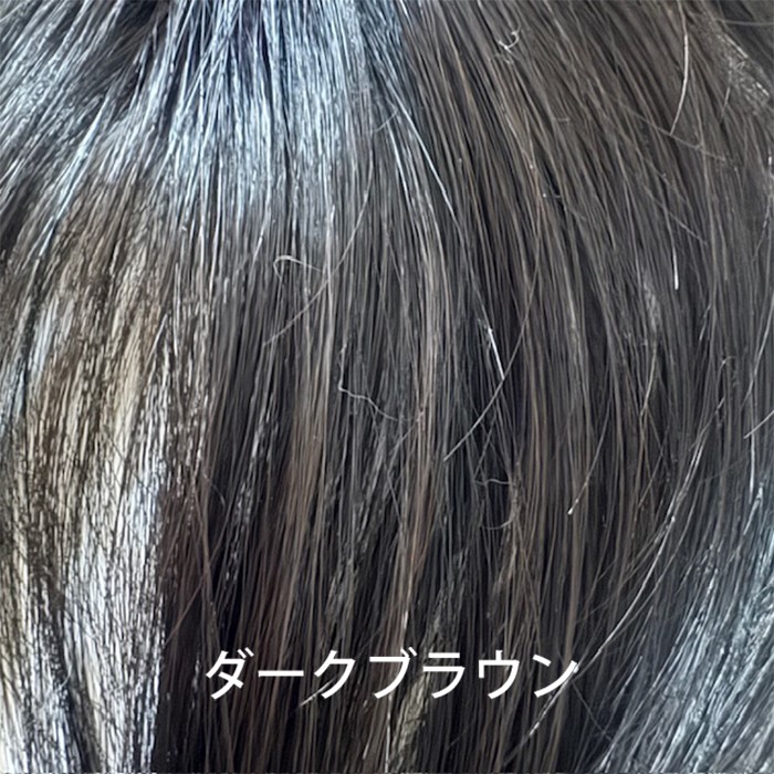 レディース メンズ ナチュラル ウィッグ ダークブラウン